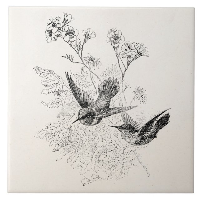 Azulejo De Cerámica Plantilla de los pájaros de la antigüedad del (Frente)