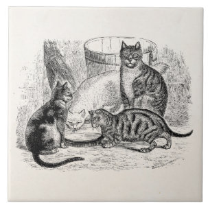 Azulejo De Cerámica Plantilla del ilustracion del gato de los 1800s de