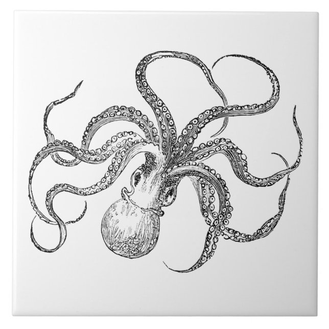 Azulejo De Cerámica Plantilla del pulpo del vintage (Frente)