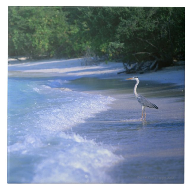 Azulejo De Cerámica Playa 2 (Frente)