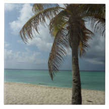 Playa de Aruba I Bella Escena Natural