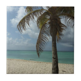 Azulejo De Cerámica Playa de Aruba I Bella Escena Natural
