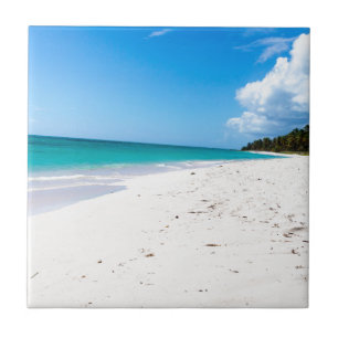Azulejo De Cerámica Playa de Isla Saona en el Caribe