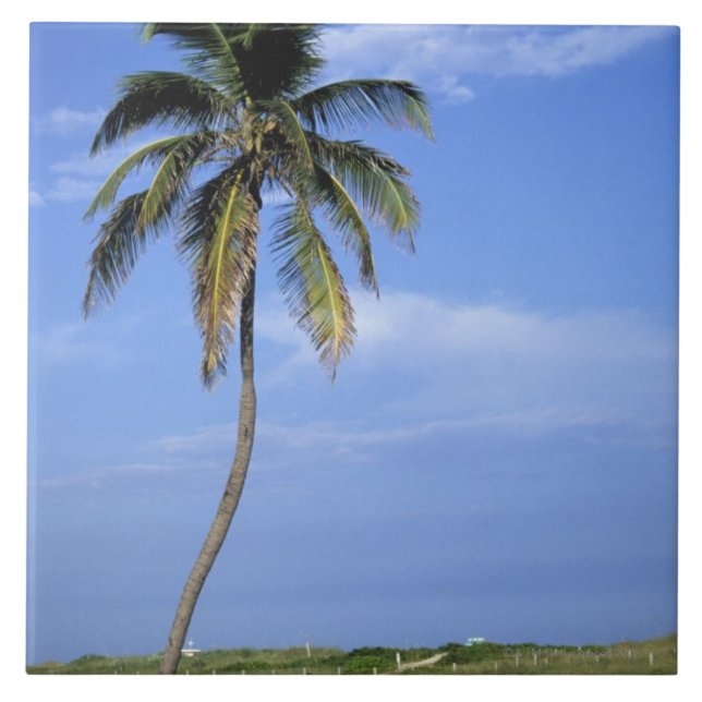 Azulejo De Cerámica Playa del sur, Miami Beach, la Florida, los (Frente)