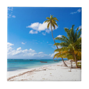 Azulejo De Cerámica Playa en Saona República Dominicana