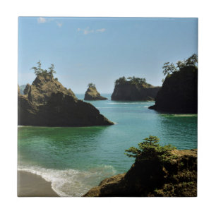 Azulejo De Cerámica Playa Secreta, Parque Estatal Boardman, Oregon, EE