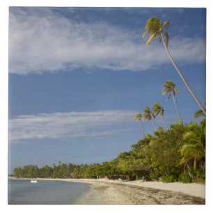 Azulejo De Cerámica Playa y palmeras, Plantation Island Resort
