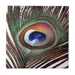 Azulejo De Cerámica Pluma Colorida de Pavo Real de Cobre