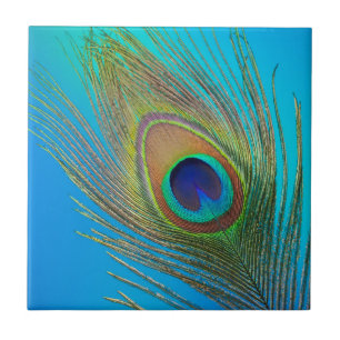 Azulejo De Cerámica Pluma de cola de pavo real