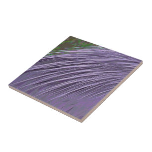 Azulejo De Cerámica Plumas azules de Lavender