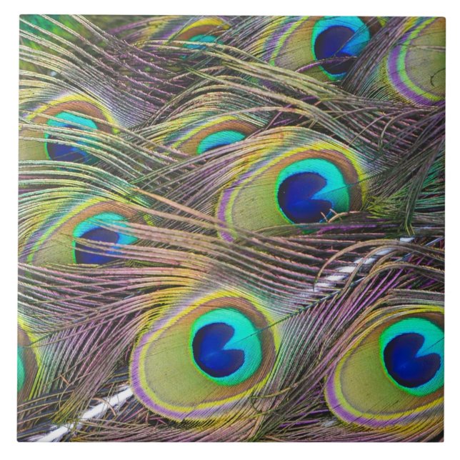 Azulejo De Cerámica Plumas del pavo real (Frente)