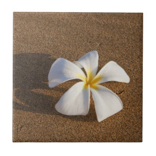 Azulejo De Cerámica Plumeria en la playa de arena, Maui, Hawaii, Estad