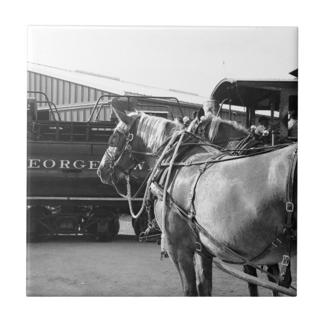 Azulejo De Cerámica Poder de caballo y vapor (Frente)