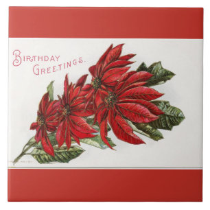 Azulejo De Cerámica Poinsettia Diciembre Cumpleaños Gran Mosca Cuadrad