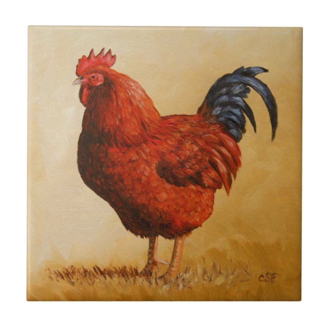 Azulejo De Cerámica Pollo Rojo de Rhode Island (Frente)