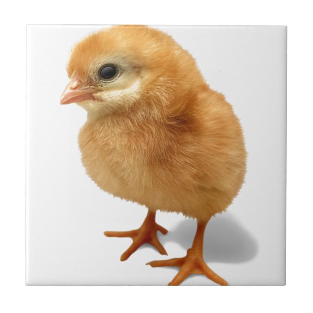 Azulejo De Cerámica Polluelo (Frente)