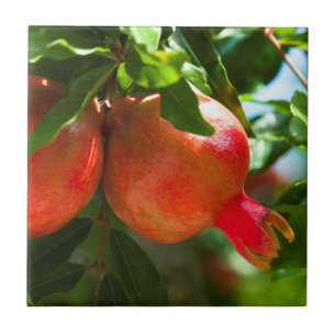 Azulejo De Cerámica Pomegranato
