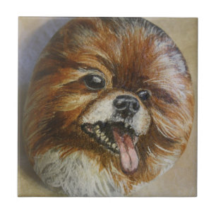 Azulejo De Cerámica Pomeranian