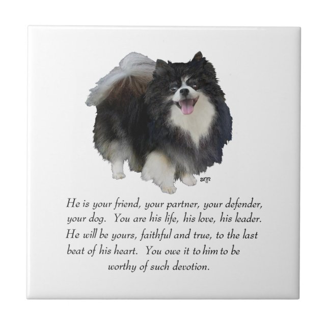 Azulejo De Cerámica Pomeranian Keepsake Male (Frente)
