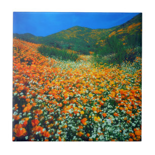 Azulejo De Cerámica Poppies de California y flores silvestres de popco