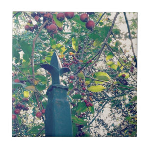 Azulejo De Cerámica Post de cerca