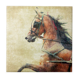 Azulejo De Cerámica Potro de Caballo de alquiler