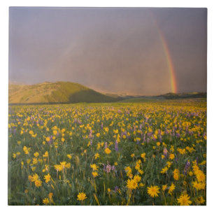 Azulejo De Cerámica Prado espectacular de flores silvestres al amanece
