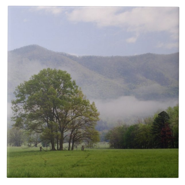 Azulejo De Cerámica Prado macizo y montaña rica, Cades Cove, (Frente)