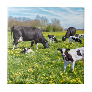 Azulejo De Cerámica Prado por completo de dientes de león con el past