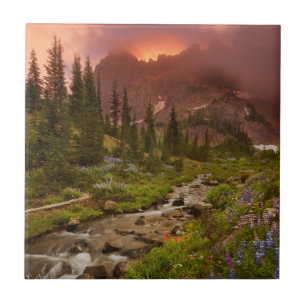 Azulejo De Cerámica Prados encantados