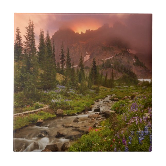 Azulejo De Cerámica Prados encantados (Frente)