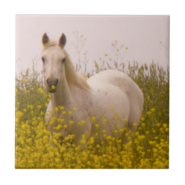 Azulejo De Cerámica Primavera (Frente)