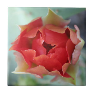 Azulejo De Cerámica Primavera