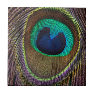 Azulejo De Cerámica Primer al revés de la pluma del pavo real