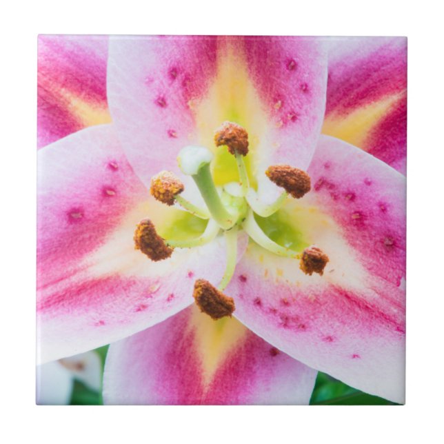 Azulejo De Cerámica Primer plano de lirio (Frente)