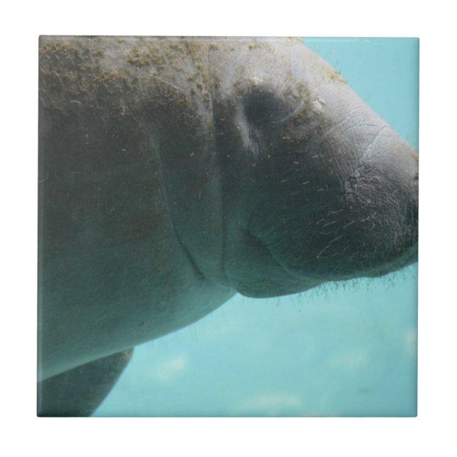 Azulejo De Cerámica Producto del personalizar (Frente)