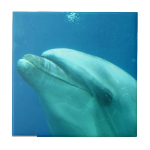 Azulejo De Cerámica Producto del personalizar