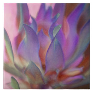 Azulejo De Cerámica Protea inflamatoria