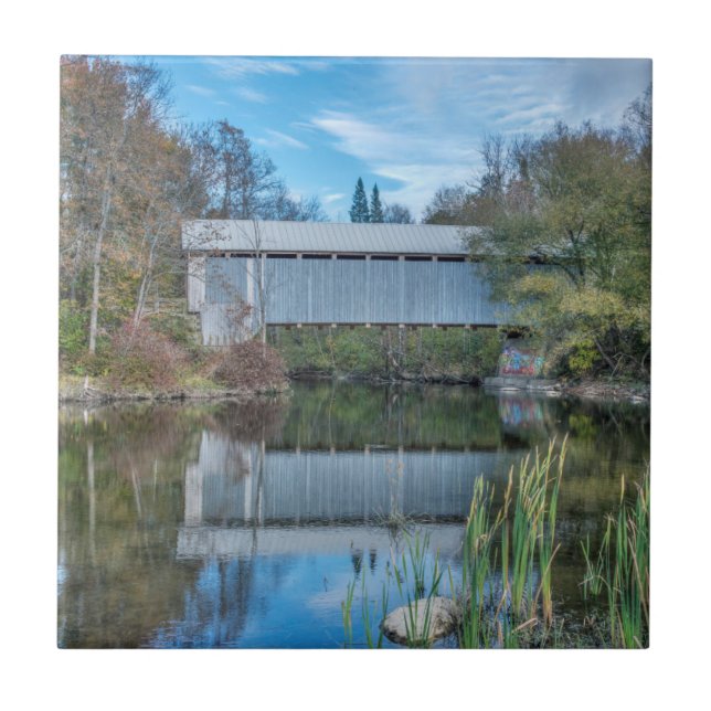 Azulejo De Cerámica Puente cubierto de Milby (Frente)