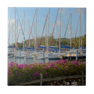 Azulejo De Cerámica Puerto náutico Virgin Gorda