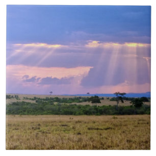 Azulejo De Cerámica Puesta de sol en el Masai Mara.