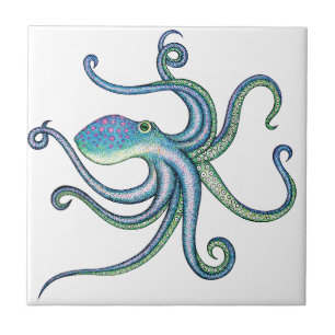 Azulejo De Cerámica Pulpo