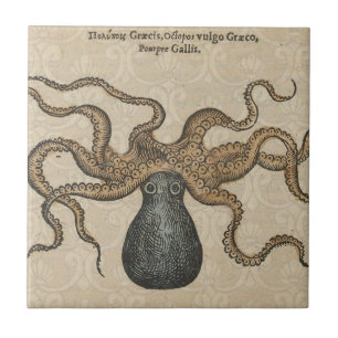 Azulejo De Cerámica Pulpo Kraken Antiguo Marino Costero Fauna