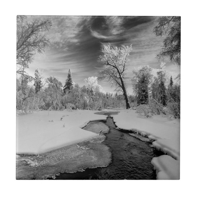 Azulejo De Cerámica Pure Campbell Creek (Frente)