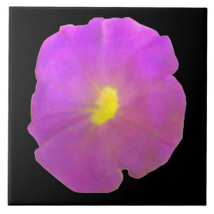 Azulejo De Cerámica Púrpura Petunia Tile