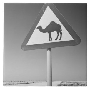 Azulejo De Cerámica Qatar, Al Zubarah. Señal de cruce de camellos - Ca