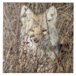 Azulejo De Cerámica R21 Coyote "Te vigila"