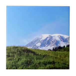 Azulejo De Cerámica Rainier PDSC230