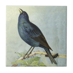 Azulejo De Cerámica Rama de pájaro negro vintage de bonito con oruga