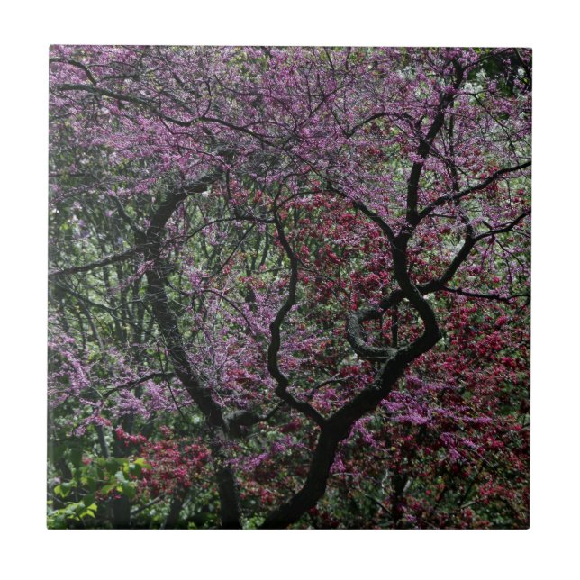 Azulejo De Cerámica Ramas y flores (Frente)